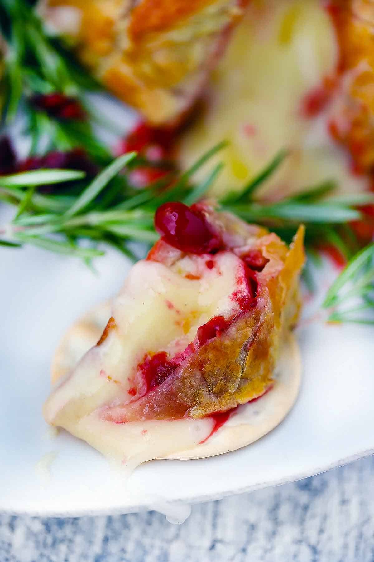 A slice of cranberry brie en croute on a water cracker.