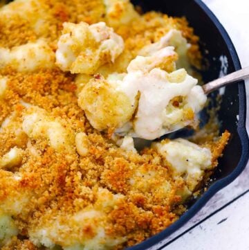 Square photo of cauliflower gratin.