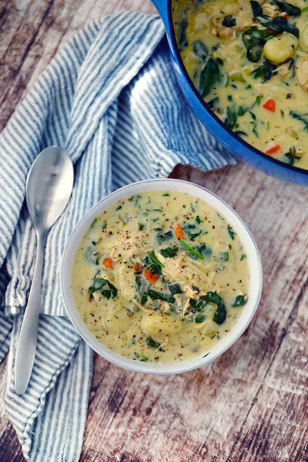 Overhead photo of a bowl of chicken gnocchi soup on a striped towel with a Dutch oven next to it.