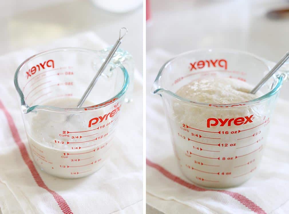 Photo collage of 2 stages of yeast mixed with water in a glass measuring cup.
