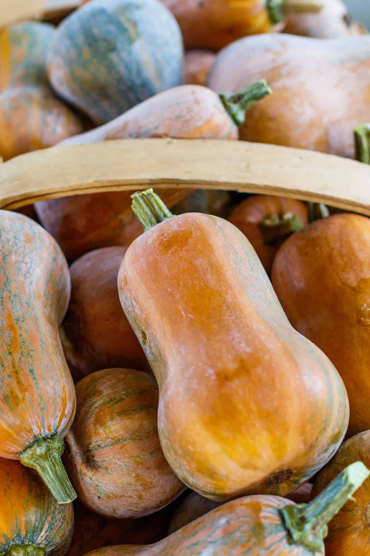A basket with honeynut squash harvest.