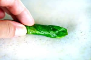 Basil leaves rolled up