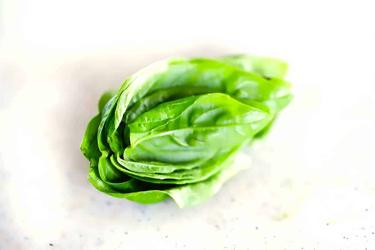 Basil leaves stacked from big to small