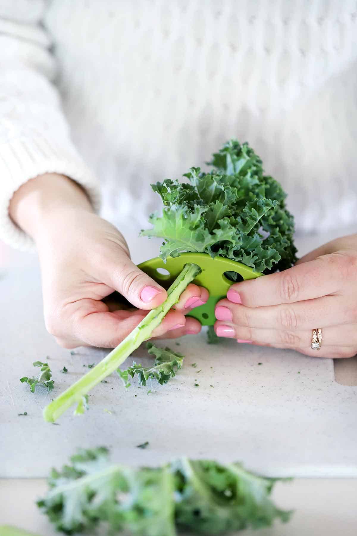 Removing kale stems using a leaf stripper.
