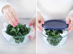 Storing kale in a paper towel lined airtight container.