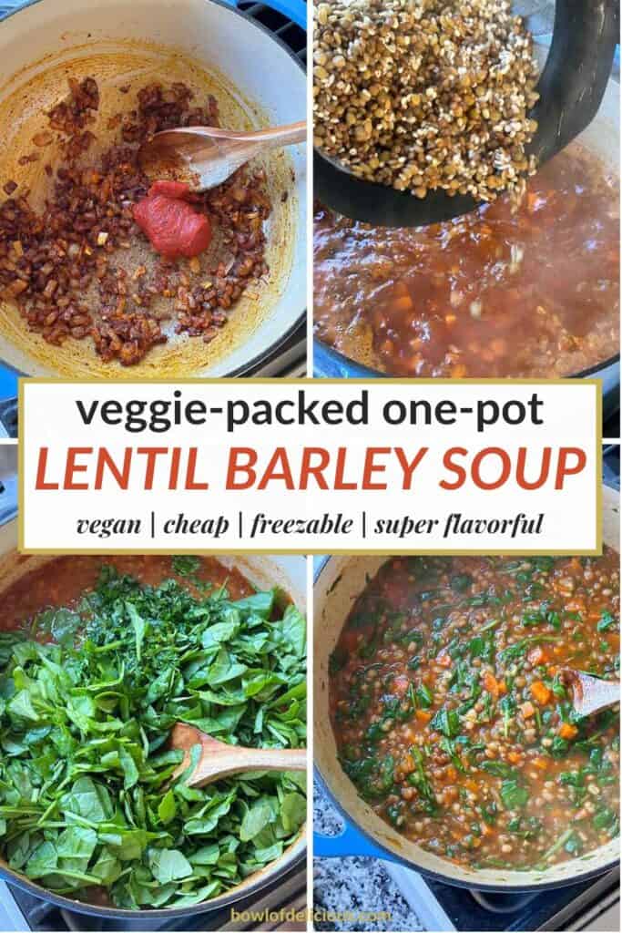 Pinterest image for lentil barley soup.