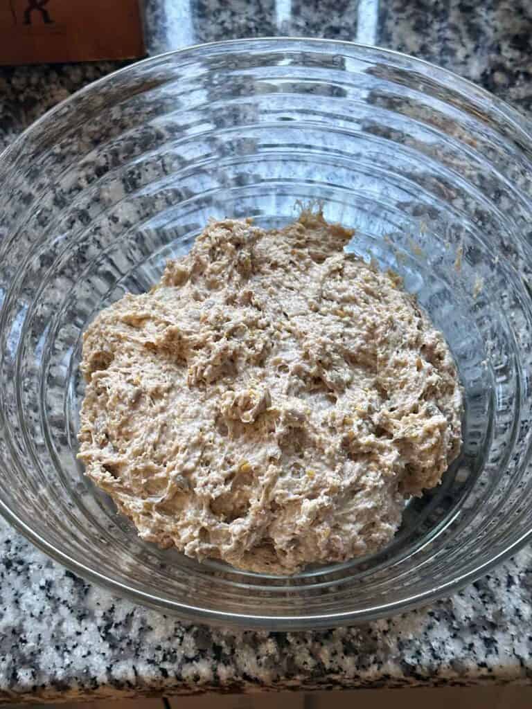 Multigrain no knead bread dough in a bowl before rising, showing texture of the dough.