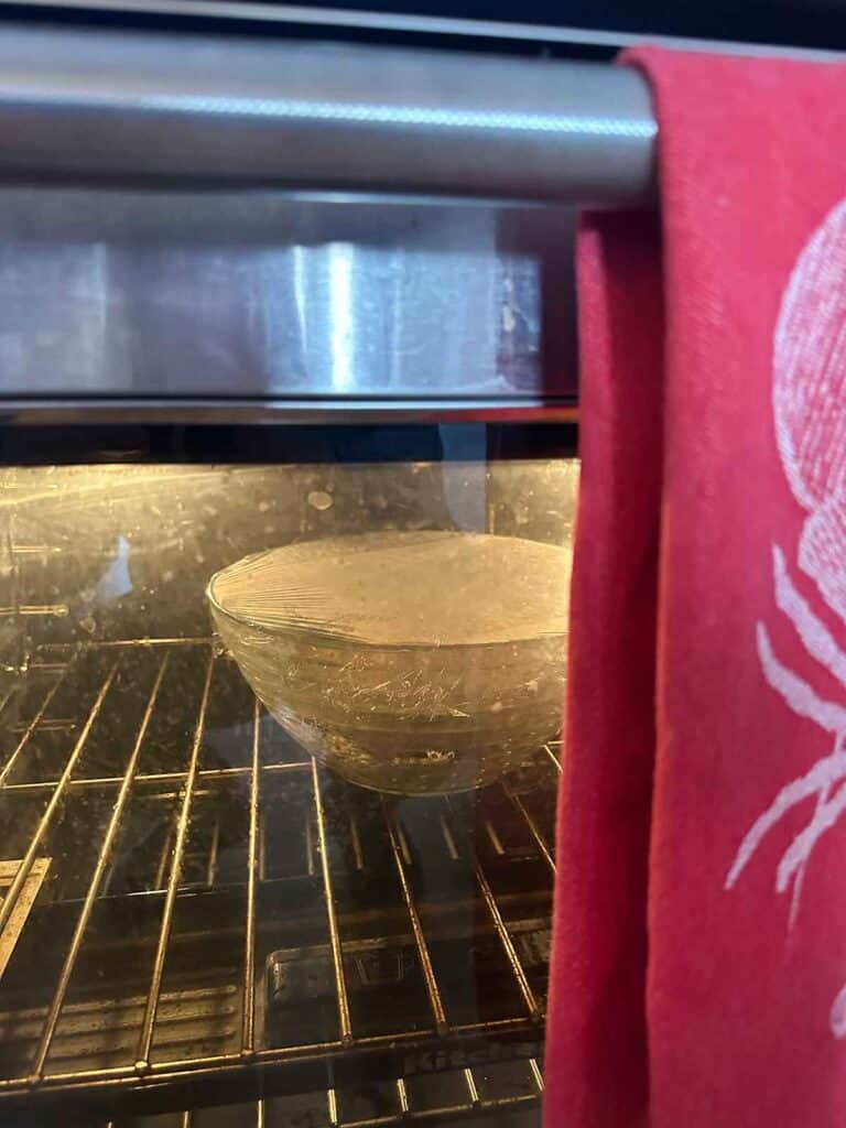 A bowl of bread dough in an oven with the light on while it rises.