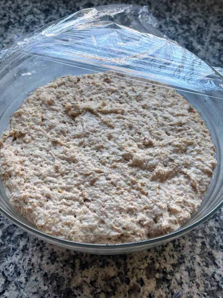 Multigrain no knead bread dough after rising in bowl.