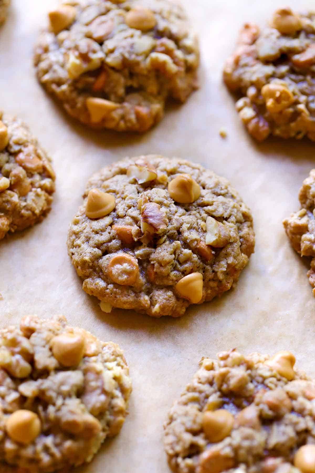 Close up photo of oatmeal butterscotch cookies with walnuts on brown parchment paper.