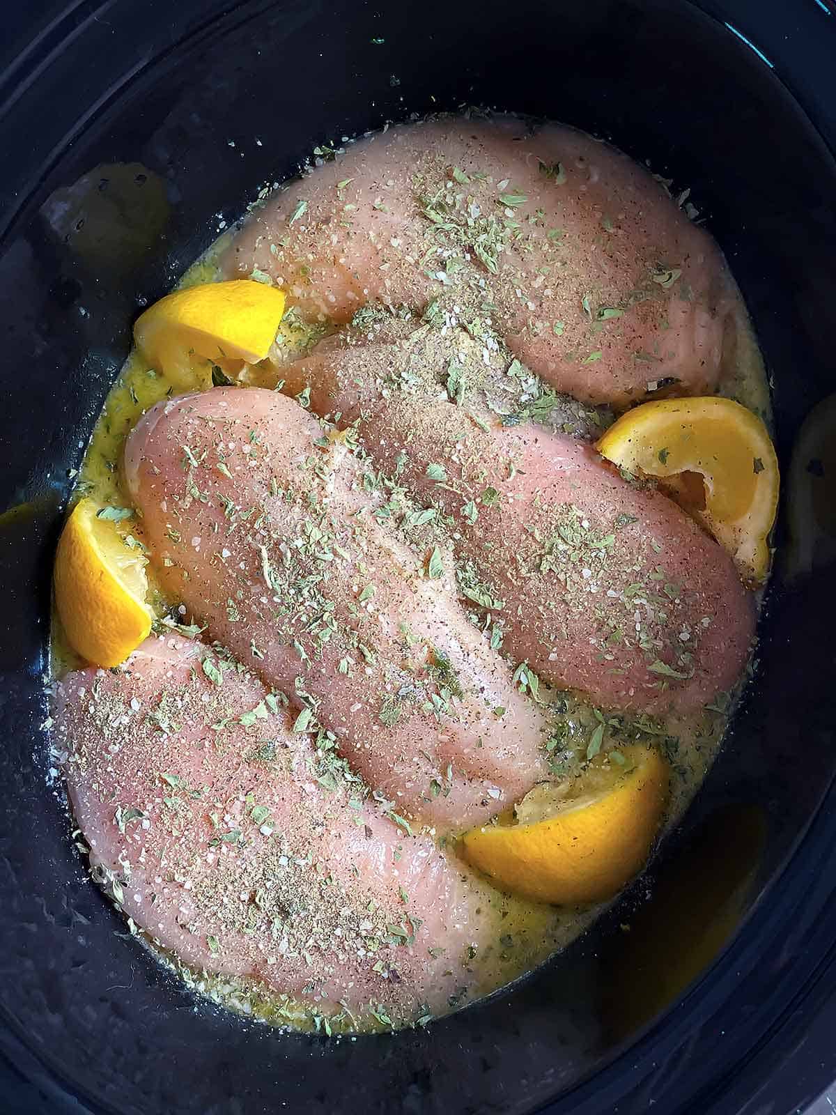 Raw chicken breasts in a slow cooker covered with herbs and lemon wedges.
