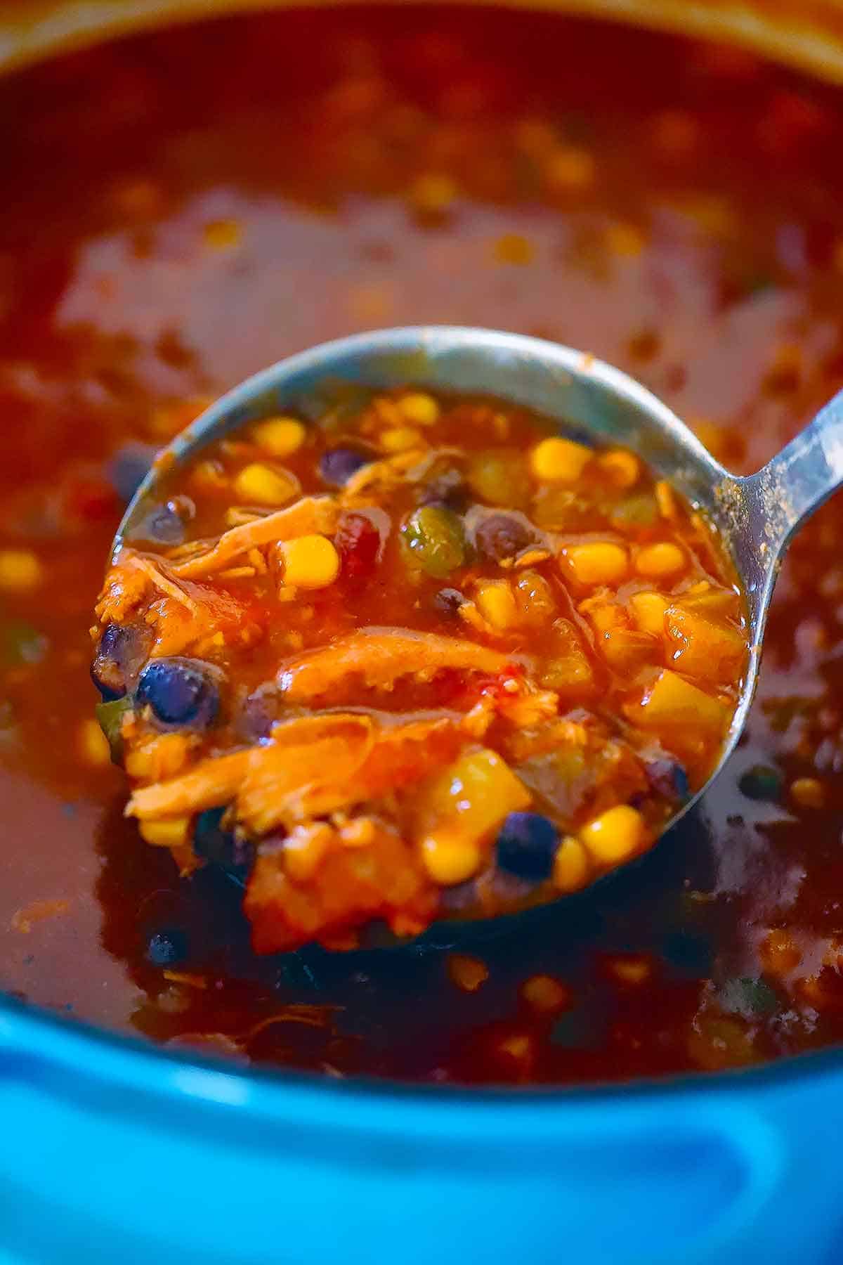 Close up ladle full of tortilla soup.
