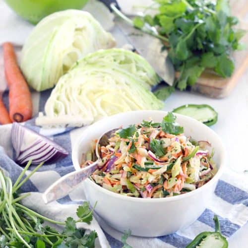 This easy, delicious recipe for Spicy Jalapeno Cilantro Slaw is great as a side, or on top of your favorite pulled pork sandwiches or fish tacos! Vegetarian, vegan optional, low carb, and paleo compliant.