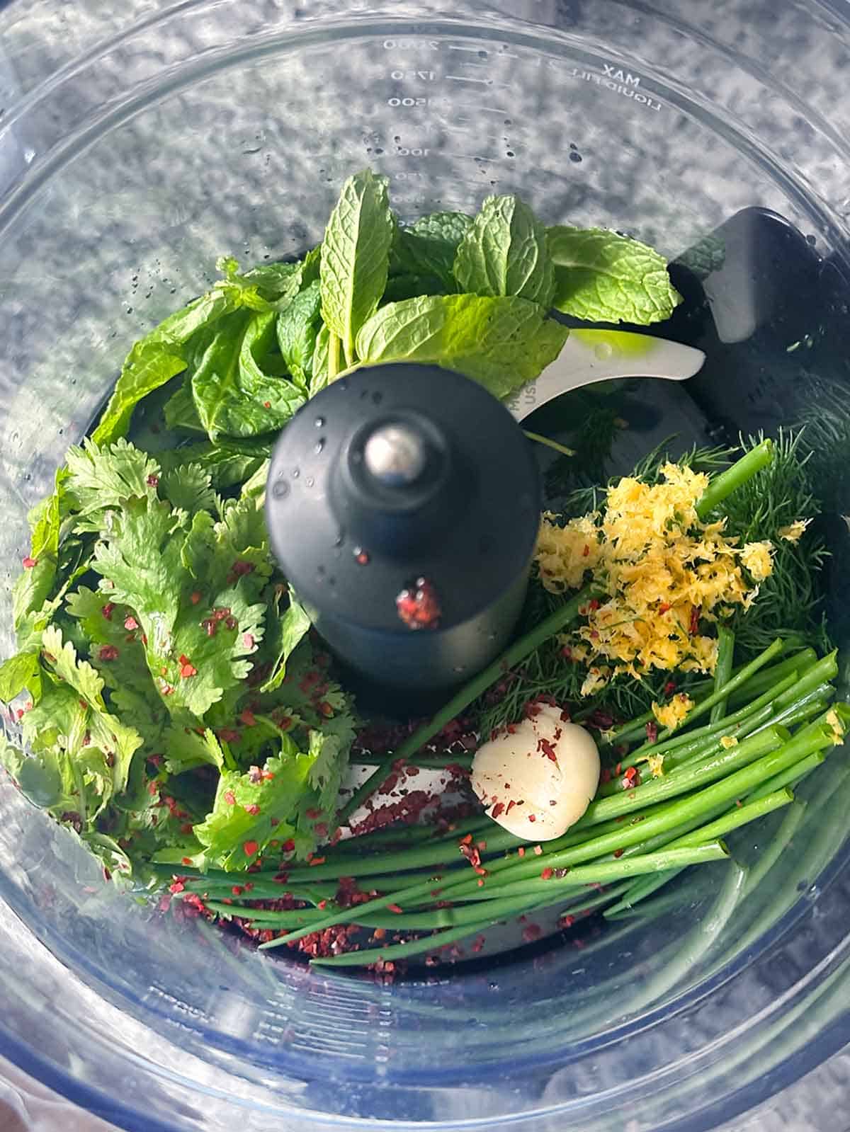 Dill, mint, cilantro, chive, lemon zest, red pepper, and garlic in a food processor as part of the process for making spring herb pistou.